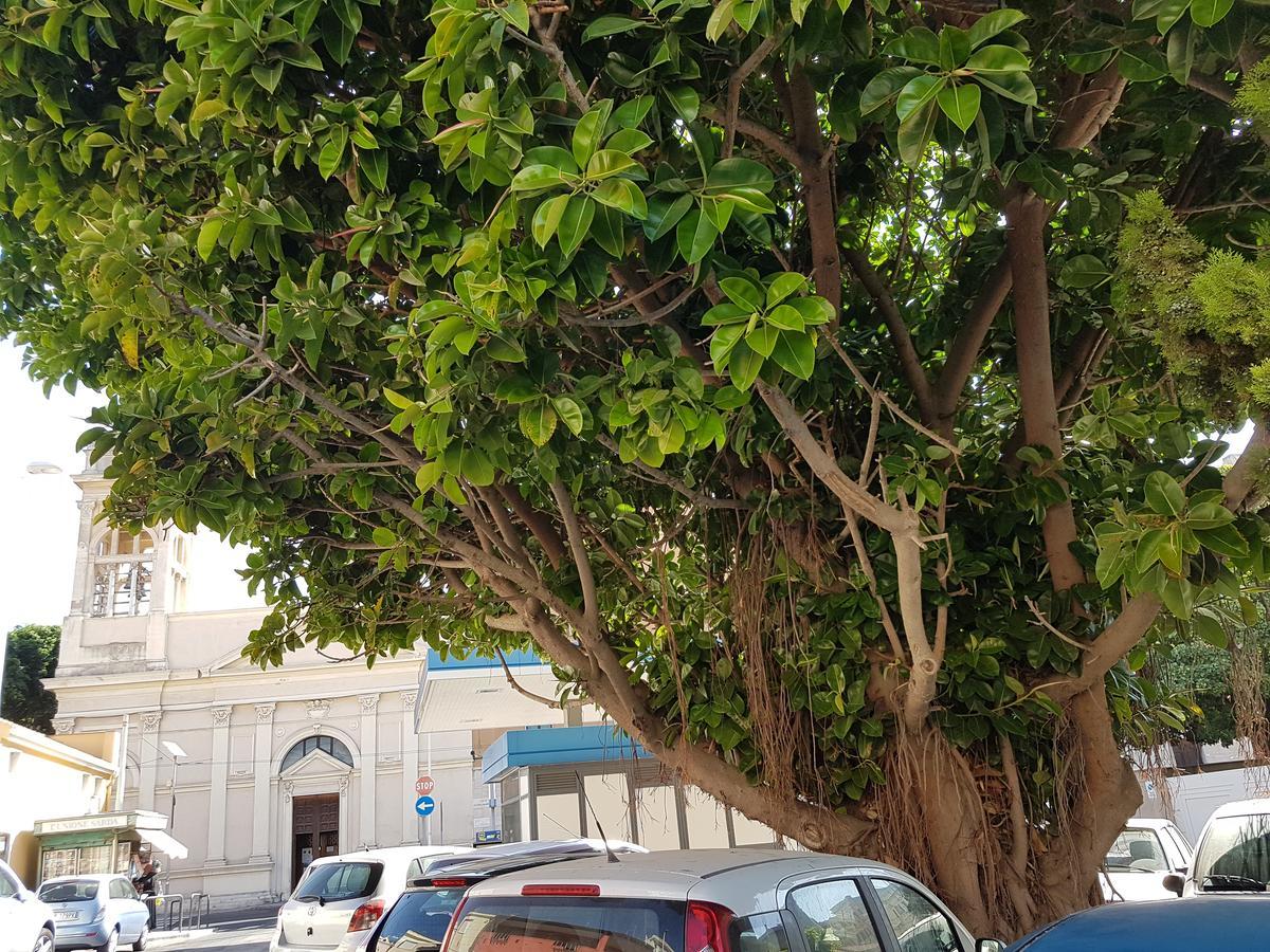 Da Agnese Locazioni Brevi Otel Cagliari Dış mekan fotoğraf